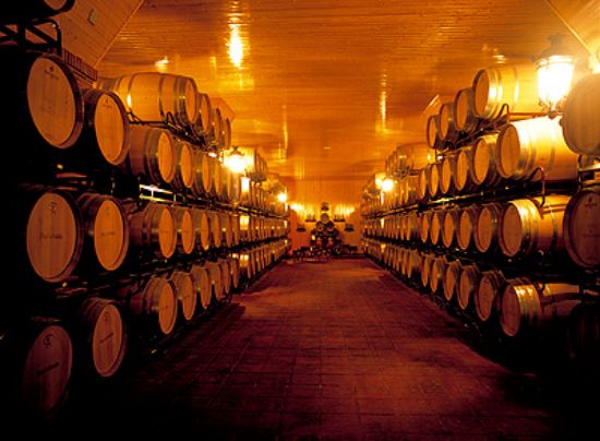 Billede af Winery with capacity 200,000 L., Spain