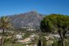 Billede af Villa in Las Brisas, Nueva Andalucia